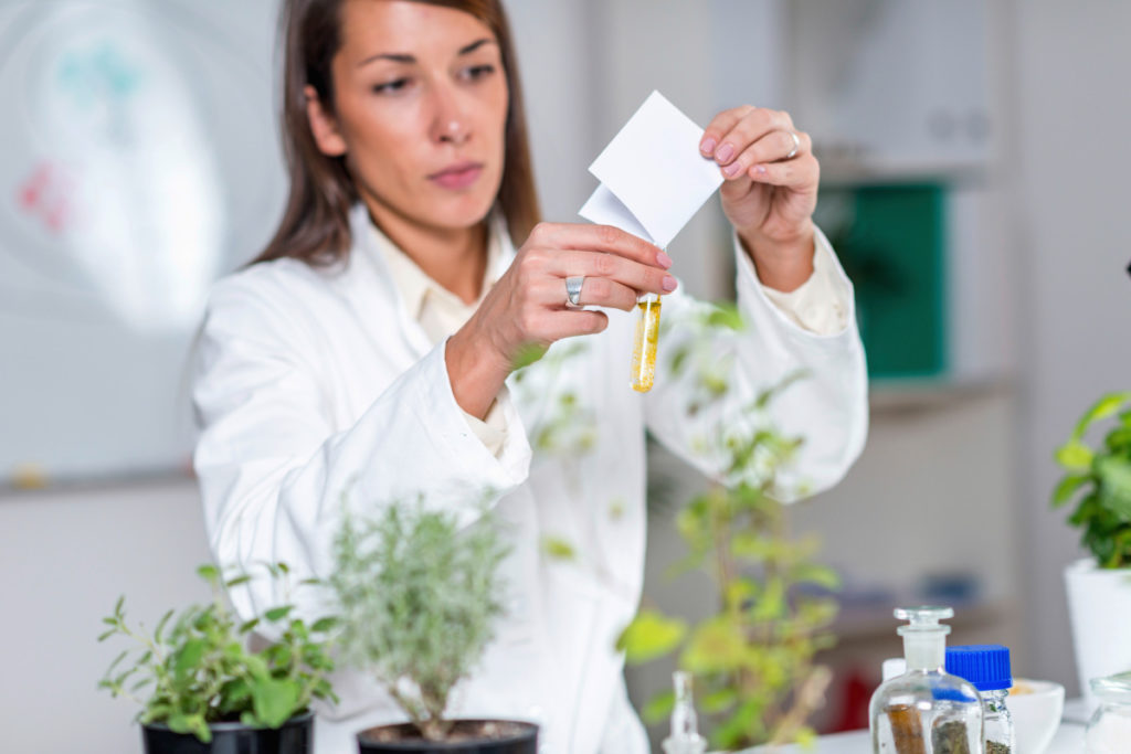 La médecine par les plantes