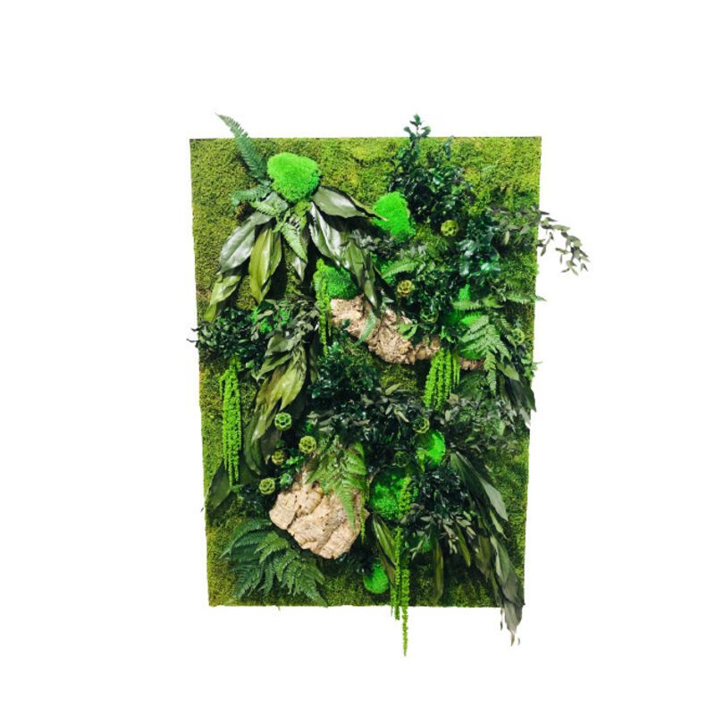 cadré végétal stabilisé pour pharmacie Amazonia
