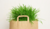 Sac papier herbe